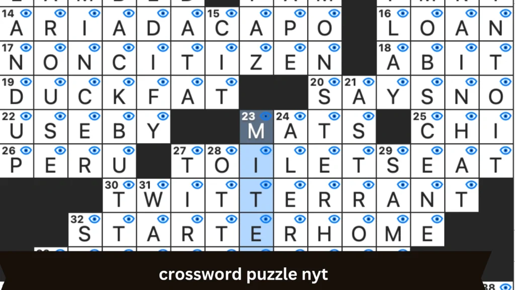 Crossword Puzzle NYT