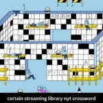 Certain Streaming Library NYT Crossword