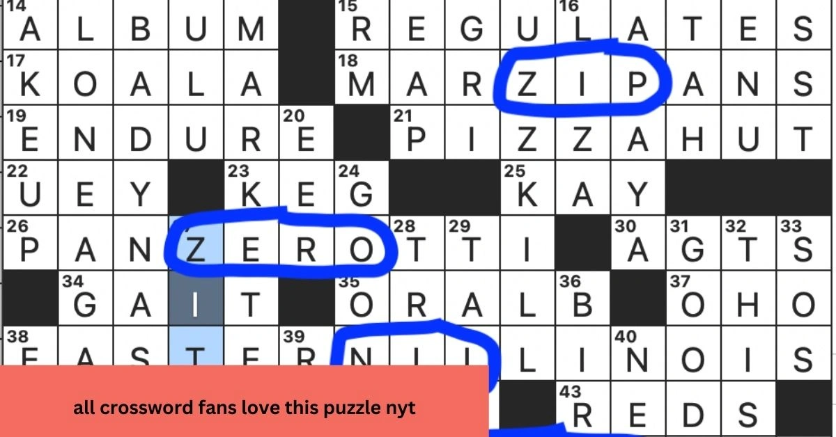 All Crossword Fans Love This Puzzle NYT