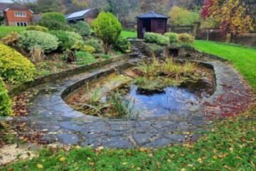 Pond Cleaning Service