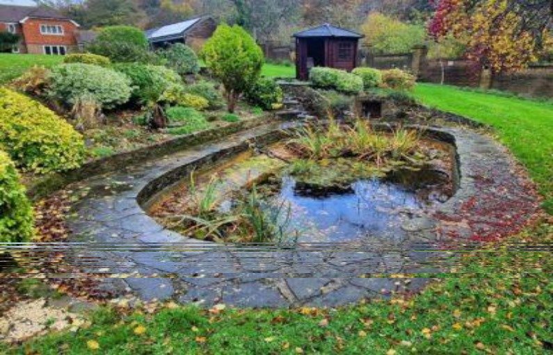 Pond Cleaning Service